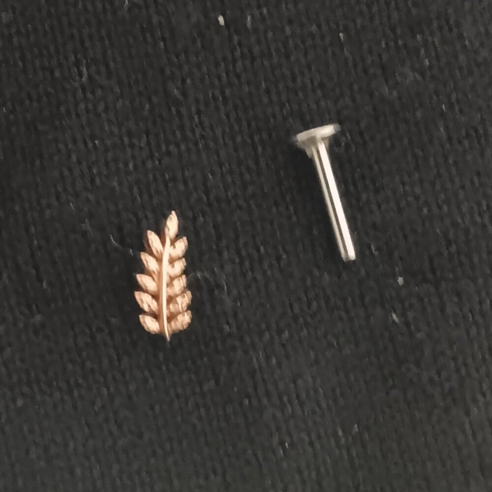 Blva Push Pin Flatback Feather Stud - image 4